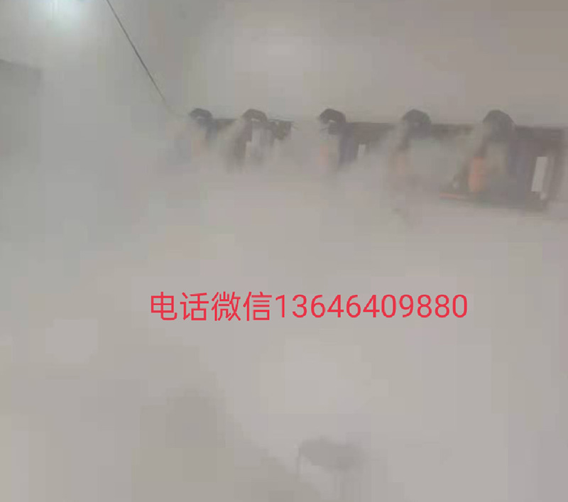 人员雾化消毒设备